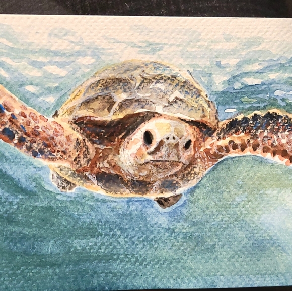 Marine Postcards - Picture 3 of 3